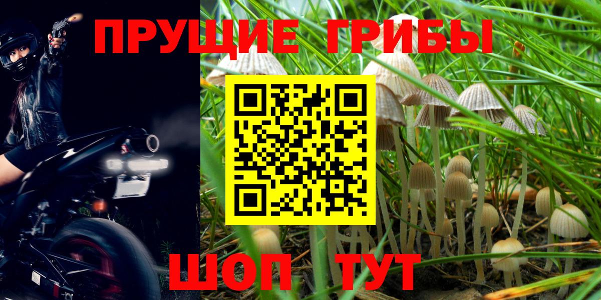 Псилоцибиновые грибы мухоморы Армавир