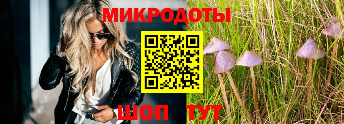 Галлюциногенные грибы Psilocybine cubensis  где найти наркотики  Армавир  Вход с VPN  Псилоцибиновые грибы мухоморы 